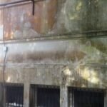 a50c6293-7b34-4d6e-9f6b-1822fd24a60a